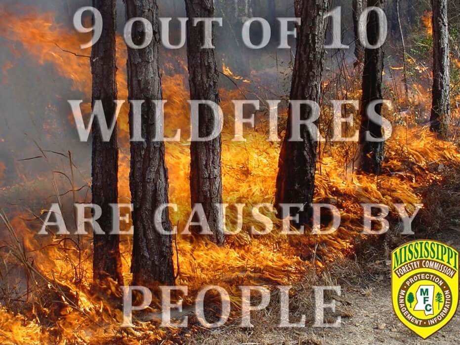 Image of trees in a forest on fire, with the words "9 out of 10 wildfires are caused by people" superimposed