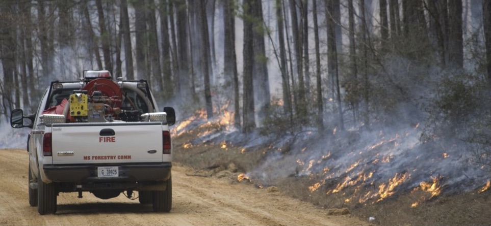 A white pickup truck driving down a dirt road while the trees and ground to the right are on fire