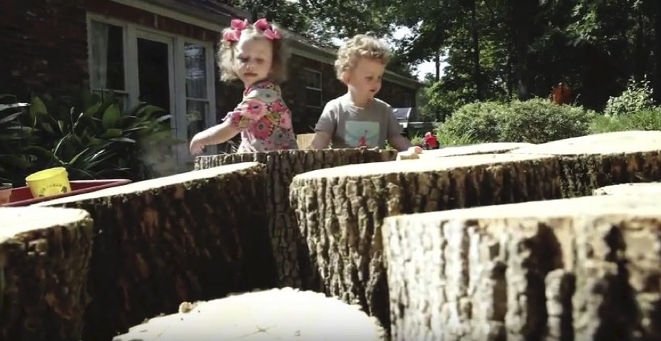 Two small children looking at a tree trunk sawn into several pieces