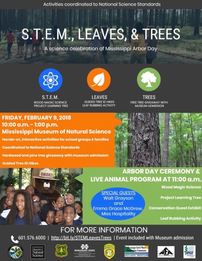 Infographic Flyer for S.T.E.M., Leaves, & Trees