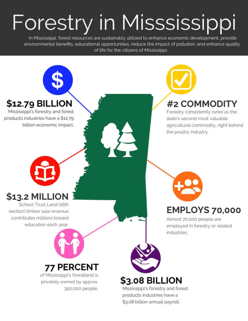 In Mississippi, forest resources are sustainably utilized to enhance economic development, provide environmental benefits, educational opportunities, reduce the impact of pollution, and enhance quality of life for the citizens of Mississippi.  $12.79 BILLION Mississippi's forestry and forest products industries have a $12.79 billion economic impact.  #2 COMMODITY Forestry consistently ranks as the state’s second most valuable agricultural commodity, right behind the poultry industry  $13.2 MILLION School Trust Land (16th section) timber sale revenue contributes millions toward education each year.  77 PERCENT of Mississippi's forestland is privately owned by approx. 350,000 people.  EMPLOYS 70,000 Almost 70,000 people are employed in forestry or related industries.  $3.08 BILLION Mississippi's forestry and forest products industries have a $3.08 billion annual payroll.