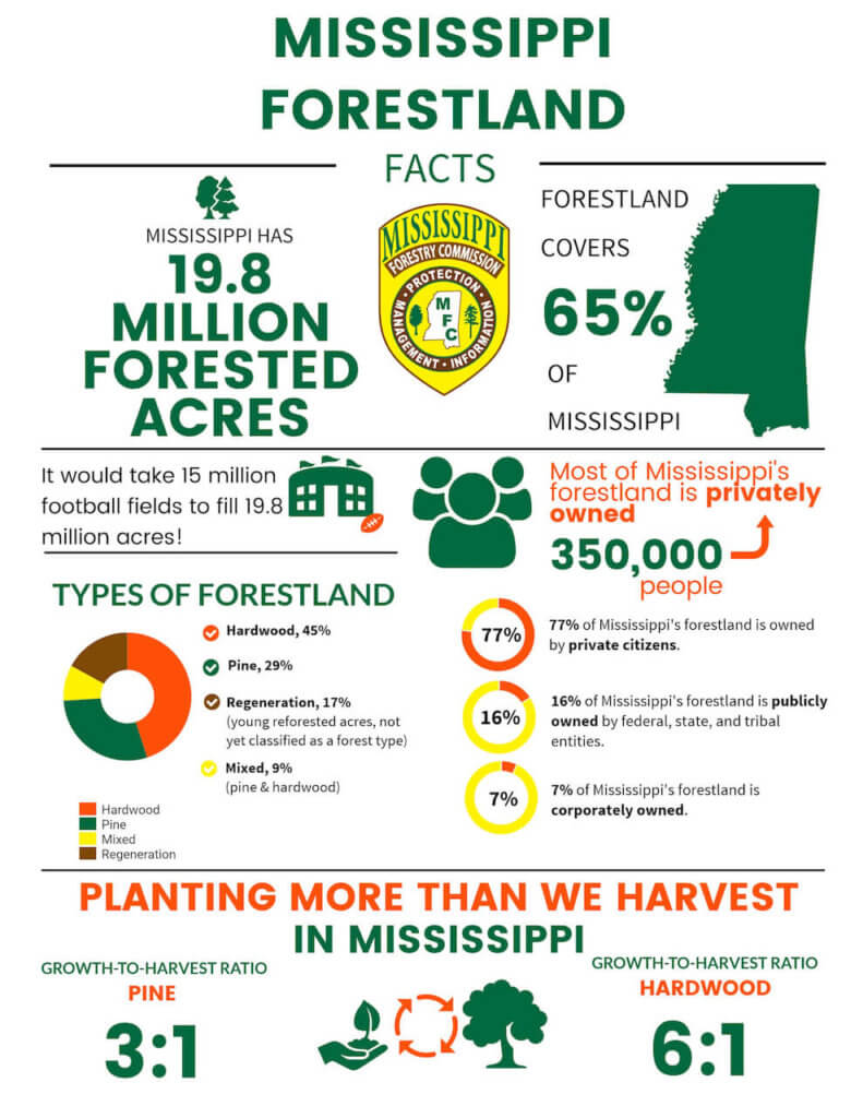 Mississippi Forestland Facts Infograph