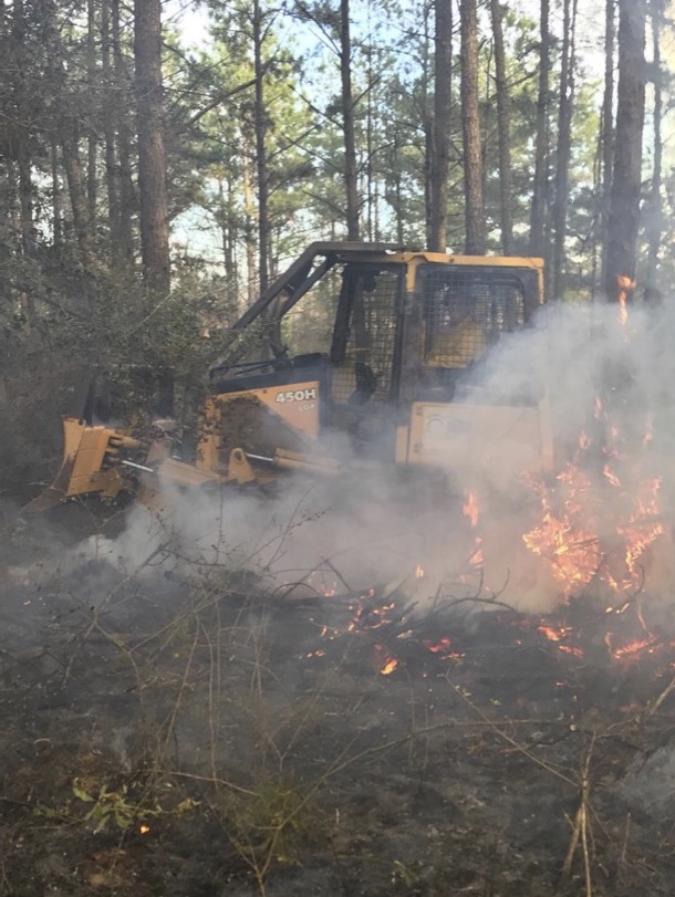 A bulldozer driving through the woods over a section of burned brush
