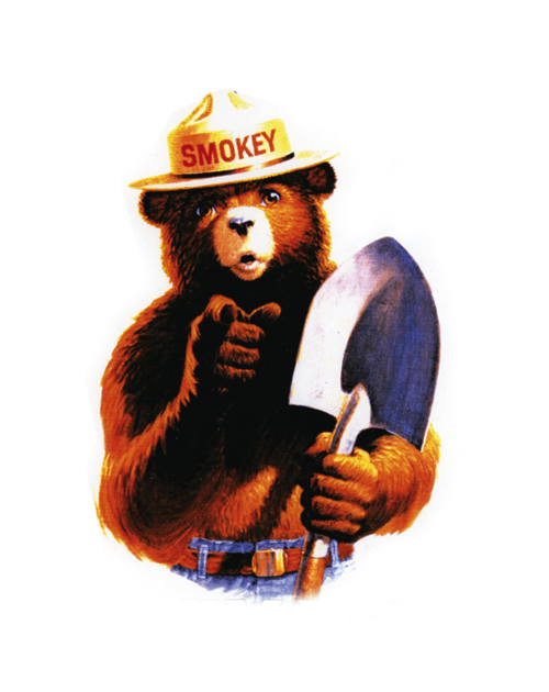 Smokey Bear illustration