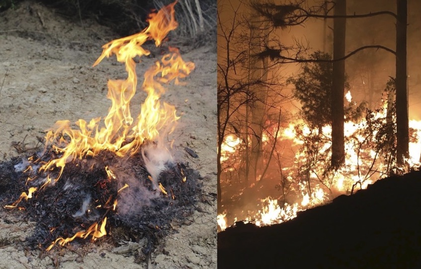 Two separate images of wildfires in the forest